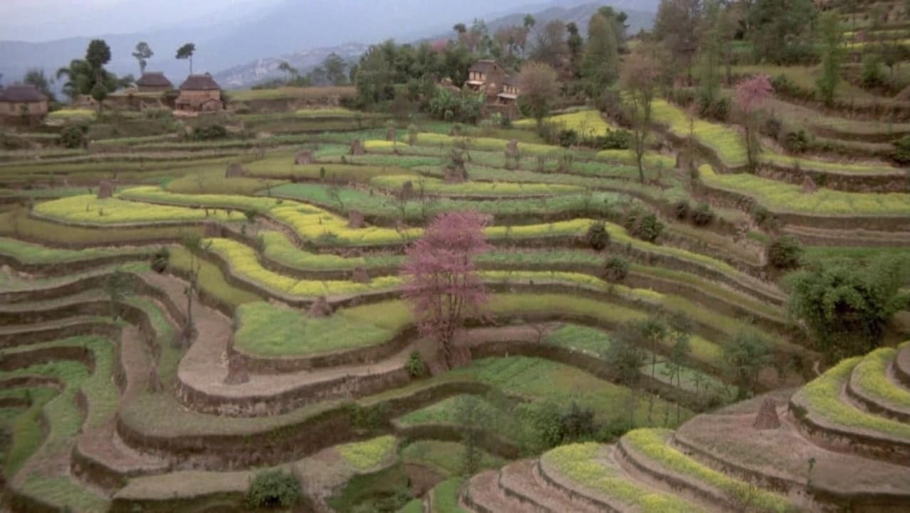 Powaqqatsi, kadr 5